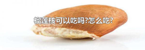 榴莲核可以吃吗?怎么吃?