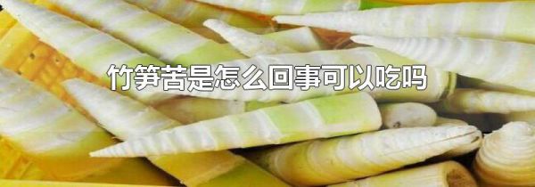 竹笋苦是怎么回事可以吃吗