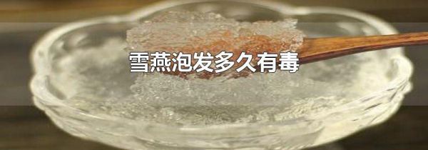 雪燕泡发多久有毒