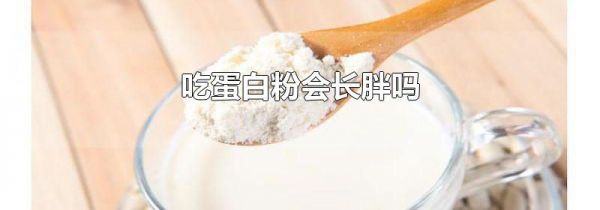 吃蛋白粉会长胖吗