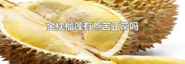 金枕榴莲有点苦正常吗