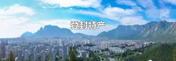 登封特产