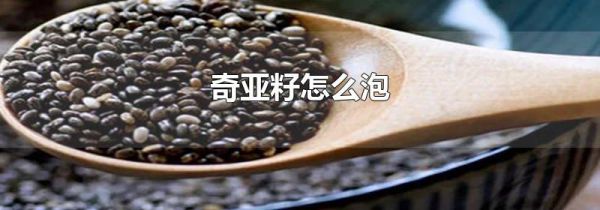 奇亚籽怎么泡