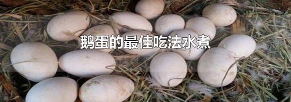 鹅蛋的最佳吃法水煮