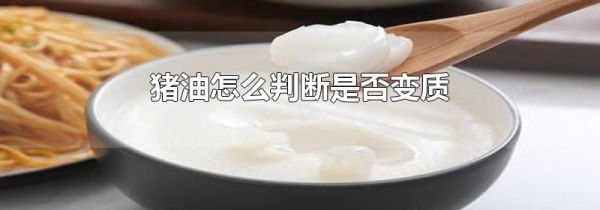 猪油怎么判断是否变质