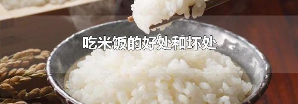 吃米饭的好处和坏处