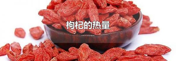 枸杞的热量
