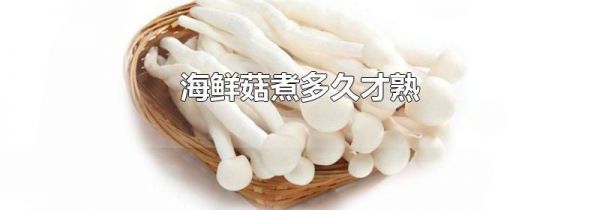海鲜菇煮多久才熟