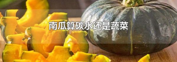 南瓜算碳水还是蔬菜