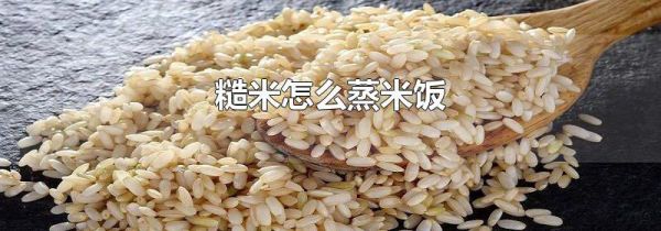 糙米怎么蒸米饭