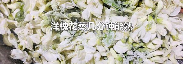 洋槐花蒸几分钟能熟