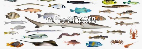 鱼属于海鲜类吗