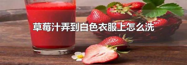 草莓汁弄到白色衣服上怎么洗