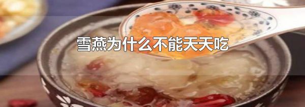 雪燕为什么不能天天吃