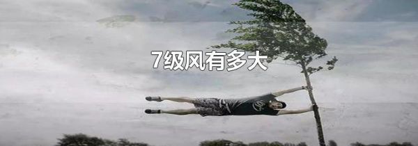 7级风有多大
