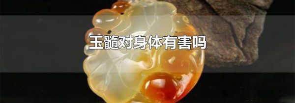 玉髓对身体有害吗