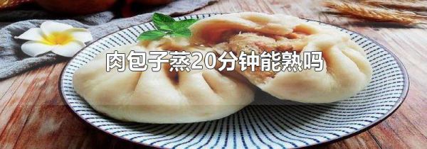 肉包子蒸20分钟能熟吗