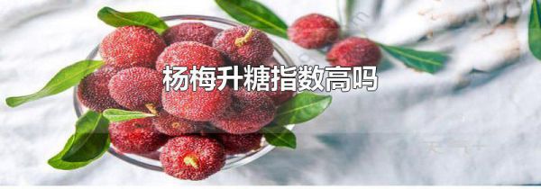 杨梅升糖指数高吗