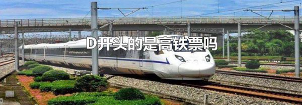 D开头的是高铁票吗