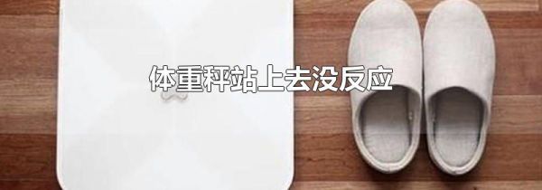体重秤站上去没反应