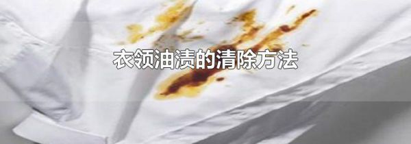 衣领油渍的清除方法