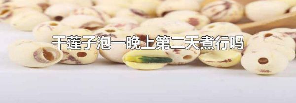 干莲子泡一晚上第二天煮行吗