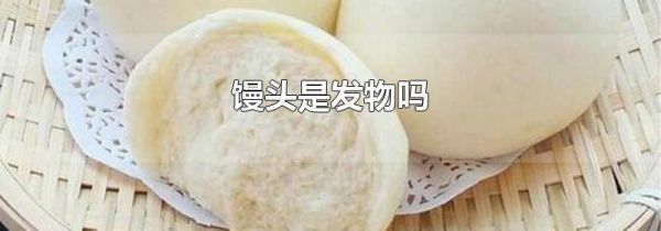 馒头是发物吗