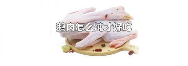 鹅肉怎么炖才好吃