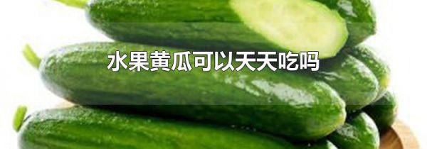 水果黄瓜可以天天吃吗