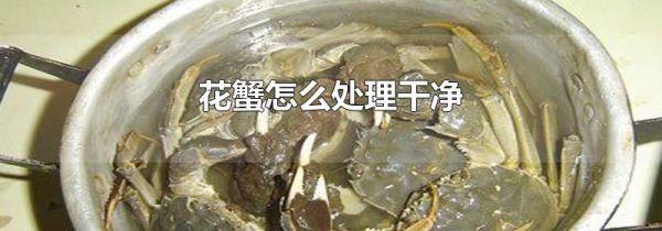花蟹怎么处理干净