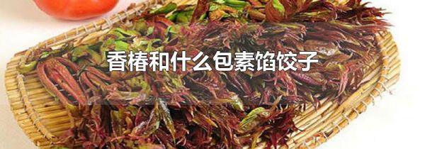 香椿和什么包素馅饺子