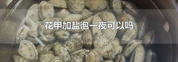 花甲加盐泡一夜可以吗
