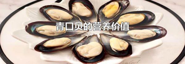 青口贝的营养价值
