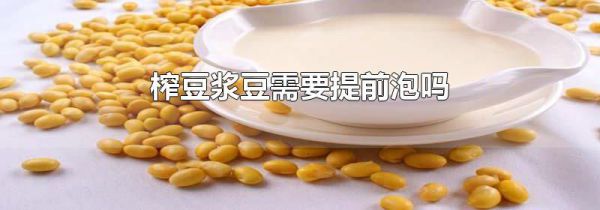 榨豆浆豆需要提前泡吗
