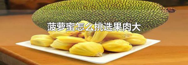 菠萝蜜怎么挑选果肉大