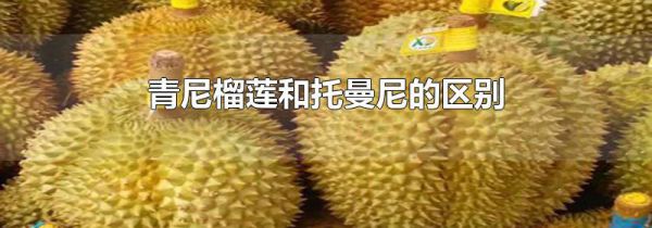 青尼榴莲和托曼尼的区别