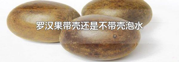 罗汉果带壳还是不带壳泡水