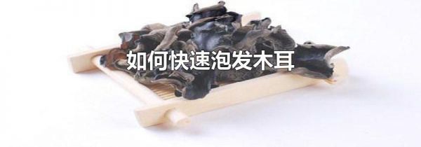如何快速泡发木耳