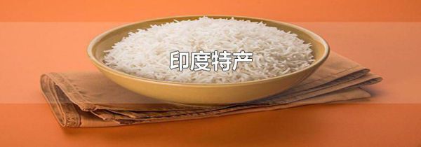 印度特产