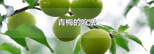 青梅的吃法
