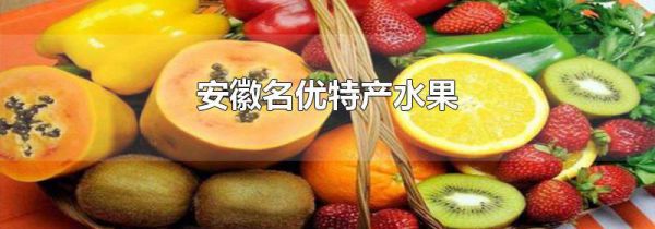 安徽名优特产水果