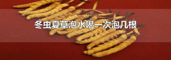 冬虫夏草泡水喝一次泡几根
