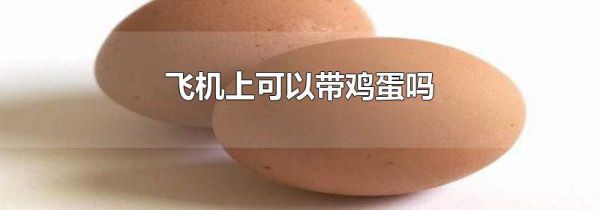飞机上可以带鸡蛋吗