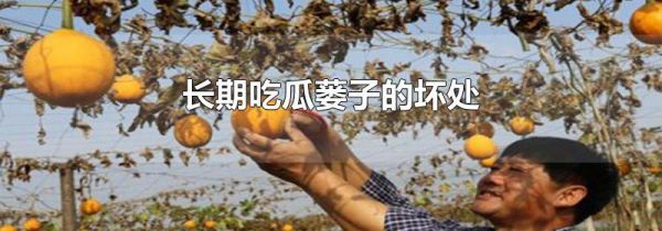 长期吃瓜蒌子的坏处