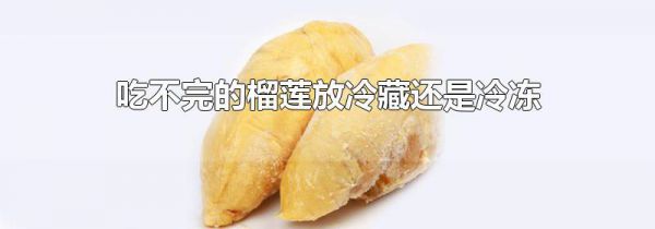 吃不完的榴莲放冷藏还是冷冻