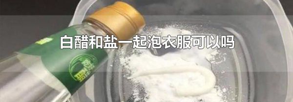 白醋和盐一起泡衣服可以吗