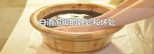 白酒泡脚的好处和坏处