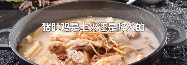 猪肚鸡是上火还是降火的