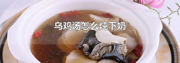 乌鸡汤怎么炖下奶
