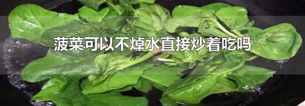 菠菜可以不焯水直接炒着吃吗